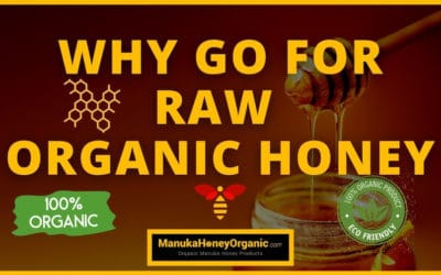 Why Go For Raw Organic Honey?