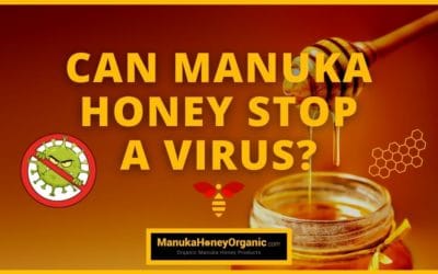 Can Manuka Honey Stop A Virus?