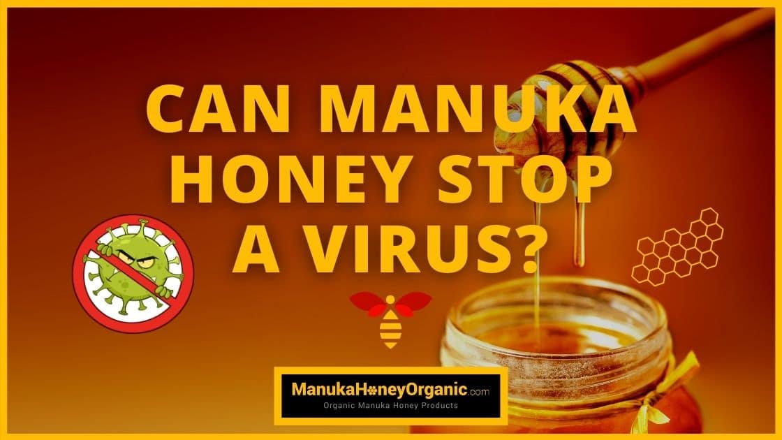 Can Manuka Honey Stop A Virus