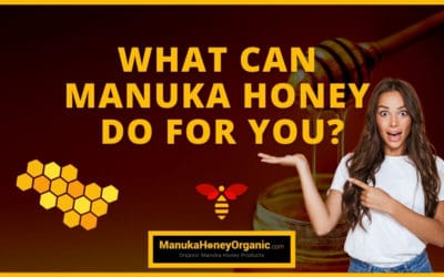 What Can Manuka Honey Do For You