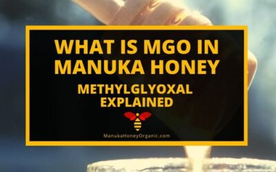 What is MGO in Manuka Honey – Methylglyoxal Explained