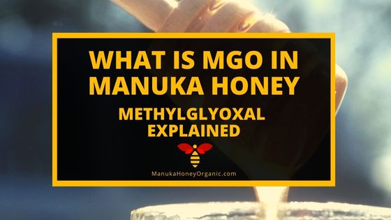 What is MGO in Manuka Honey – Methylglyoxal Explained