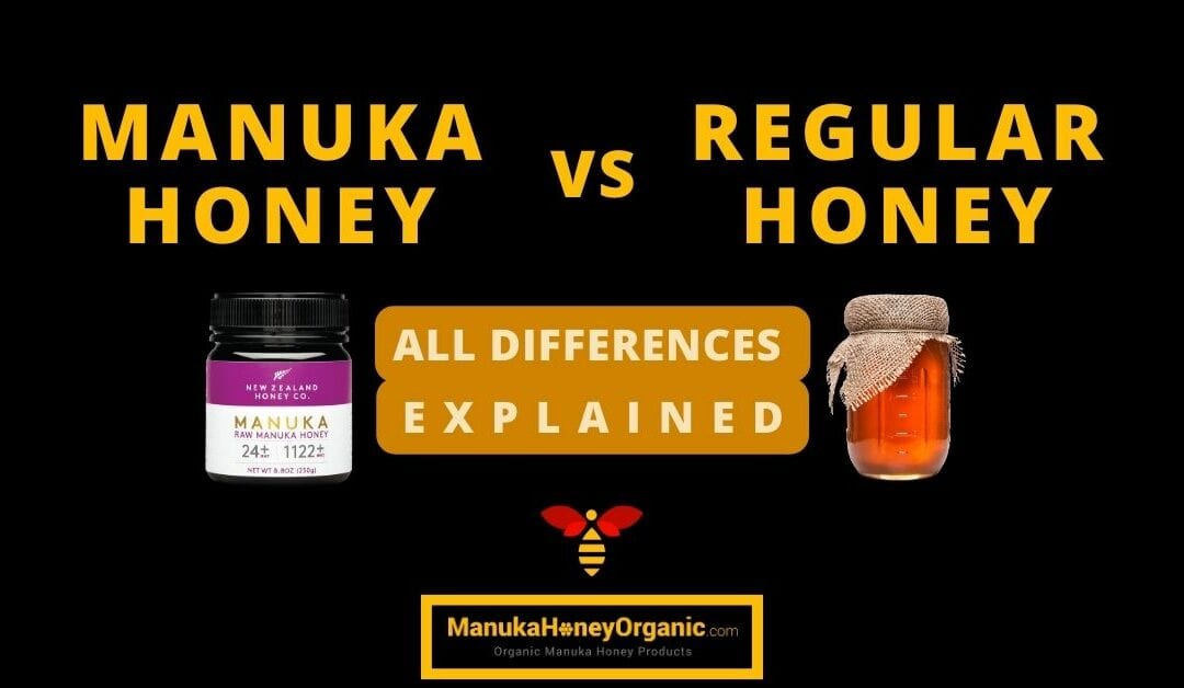Manuka Honey vs Regular Honey – All Differences Explained