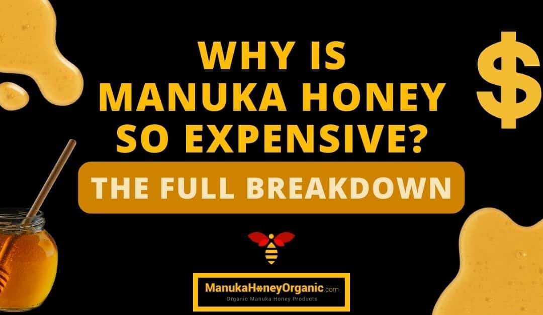 Why Is Manuka Honey So Expensive? The Full Breakdown