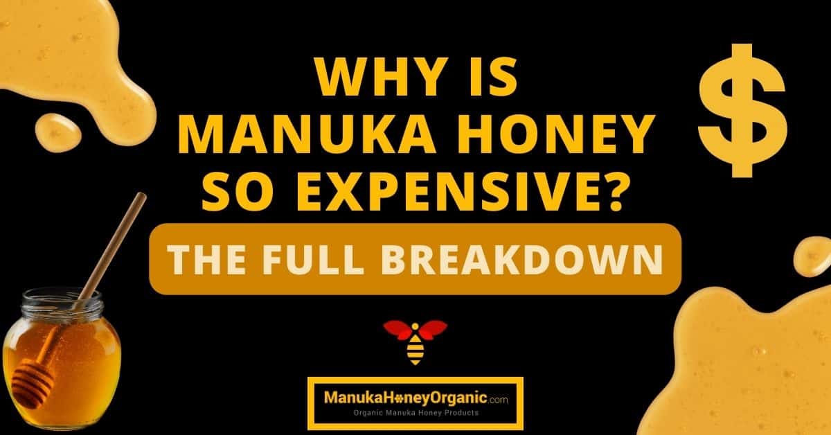 Why Is Manuka Honey So Expensive?