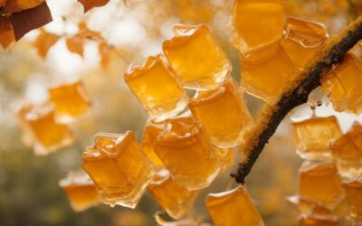 From Bees to Trees: Honey vs Maple Syrup