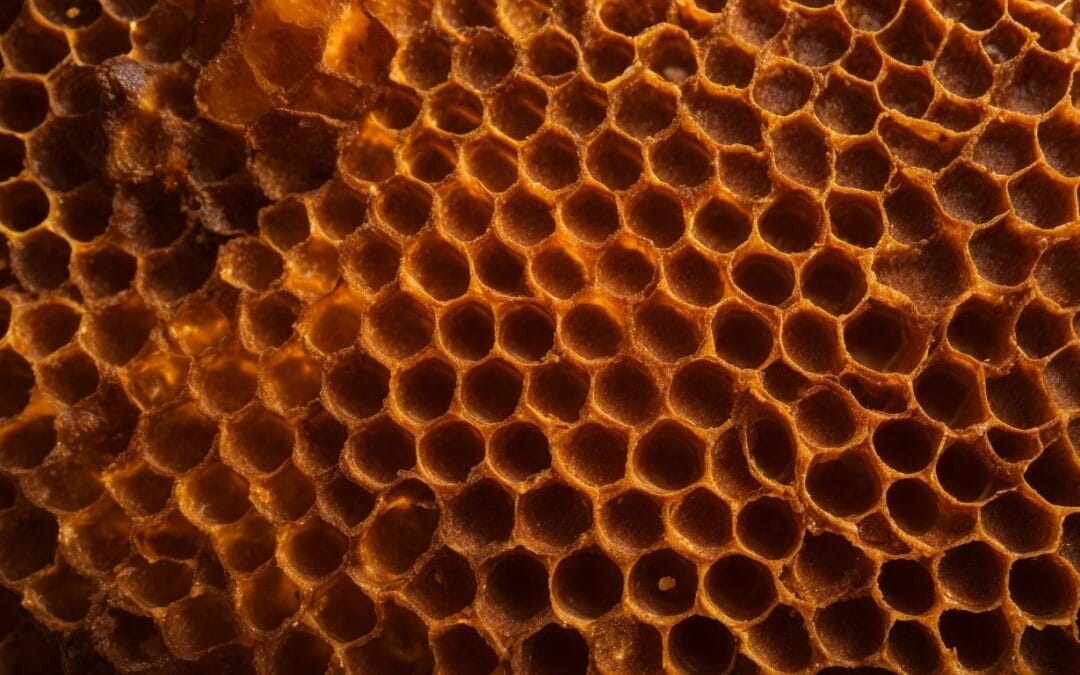 Can You Use Manuka Honey For Treating Burns?