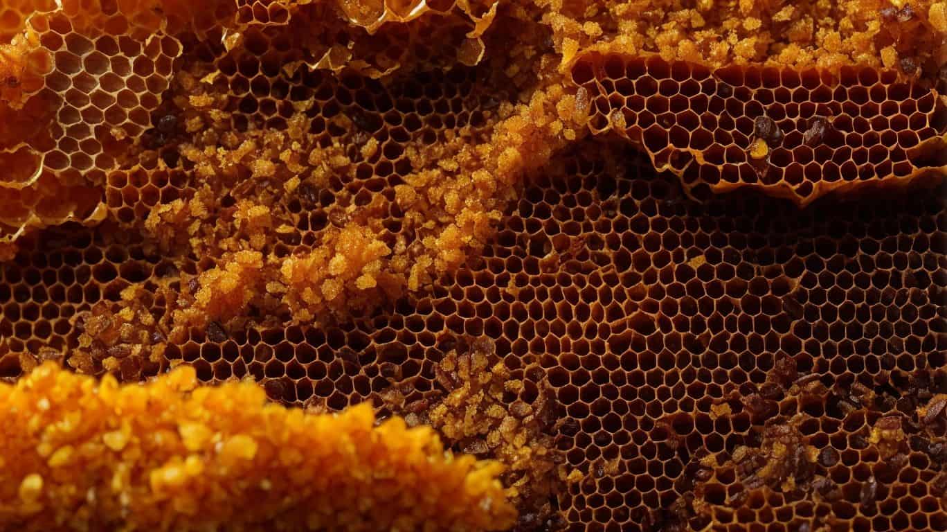 What is Monofloral Manuka Honey and Why Does it Matter?