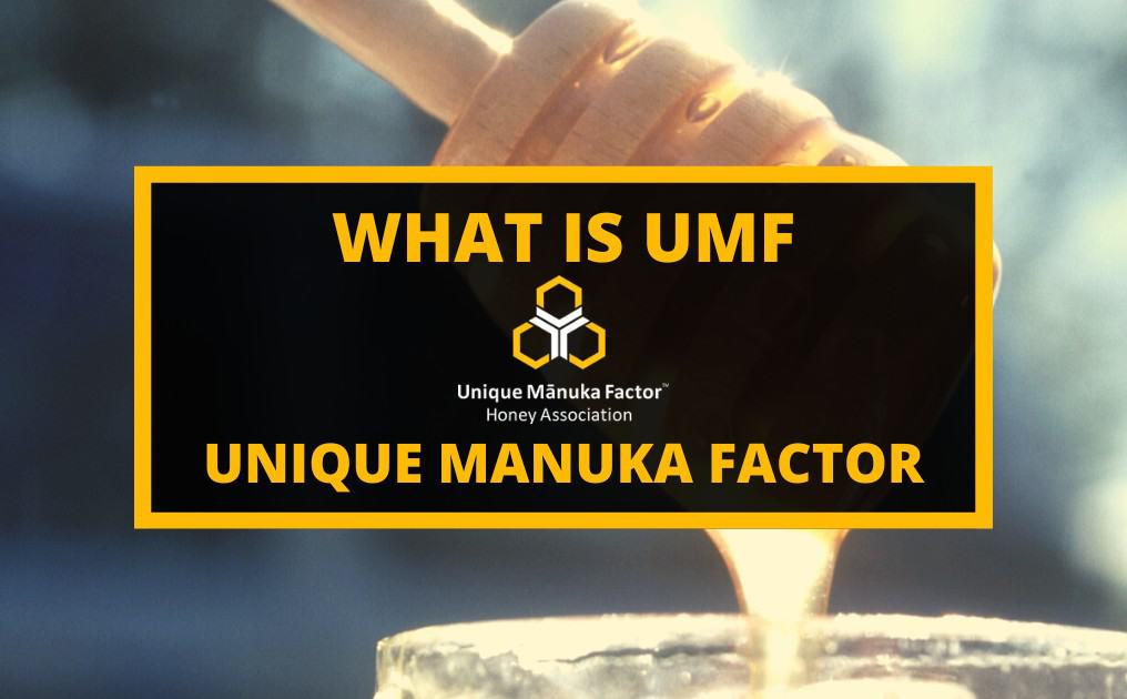 What is UMF – Unique Manuka Factor
